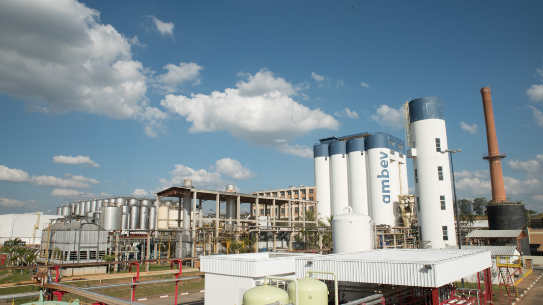 Em dois anos, 100% das operações da Ambev usarão energia eólica